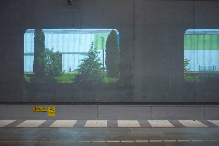 Projektion på en vägg av ett hus i korrugerad plåt med träd framför sig. Tania Ruiz Gutiérrez, Annorstädes