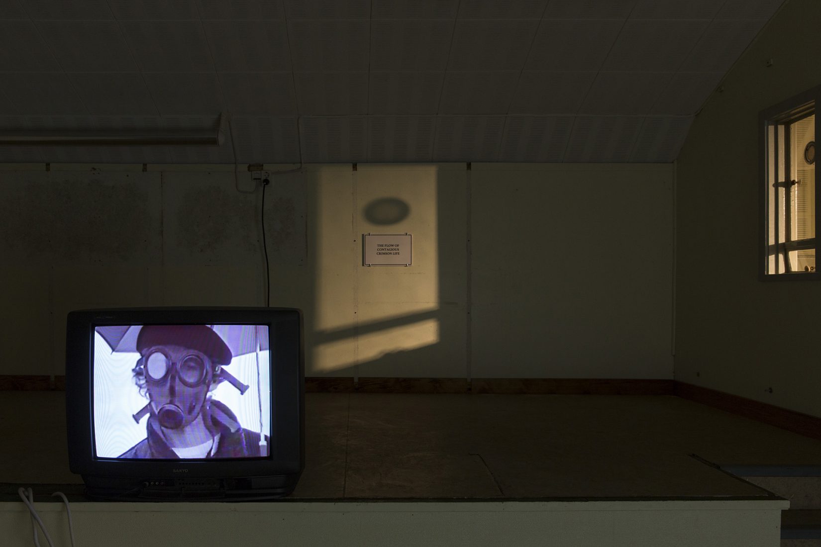 Bild av verket The Blood of Stars av konstnärsduon Raqs Media Collective