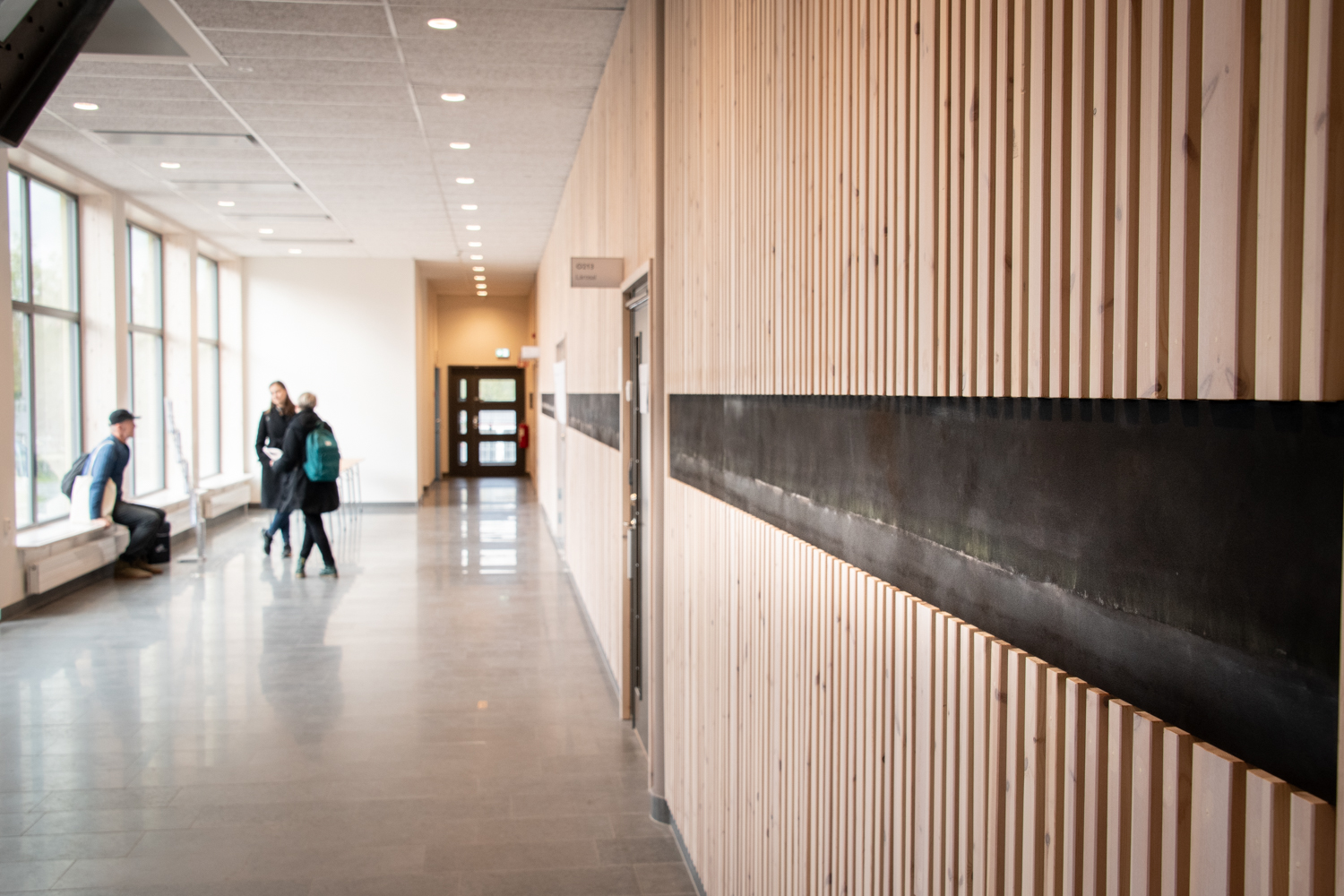 Väggmålning som sträcker sig över en hel vägg.