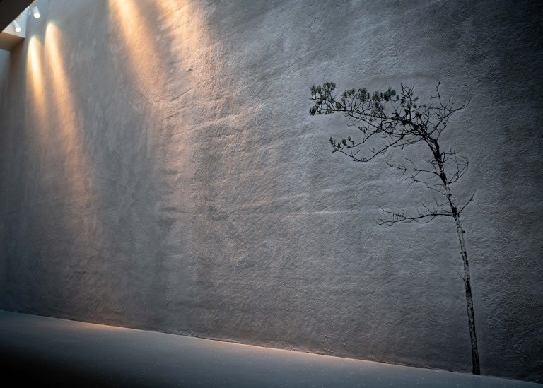 En bild av en tall på en vägg som är belyst snett uppifrån.