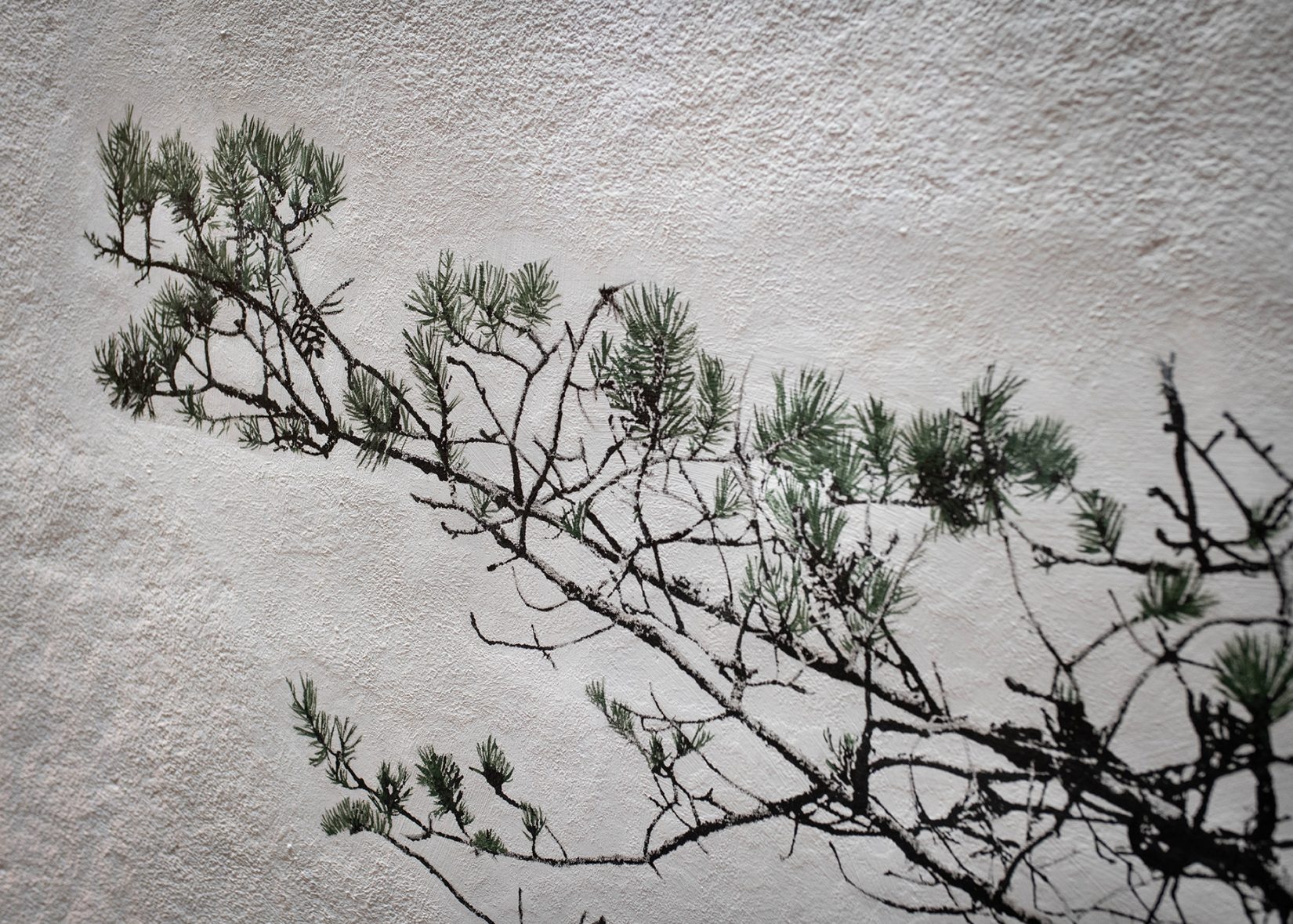 En bild av en tall på en vägg