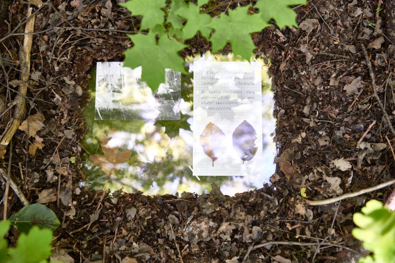 Pappersark ligger på marken bland jord och mylla. Löv syns i överkant av bild.