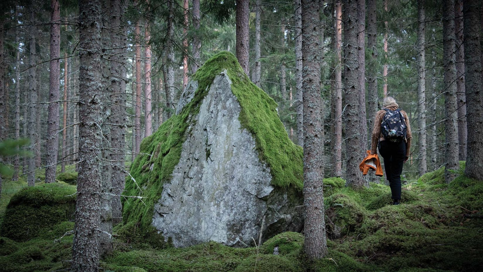 Stor mosstäckt sten i en skog