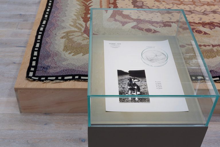 Bild på en hund i en inglasad monter