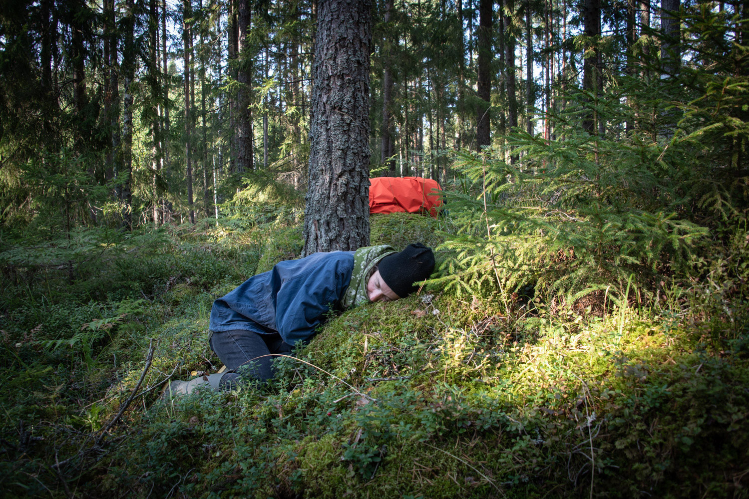 Person med blå jacka ligger i mossan framför ett träd