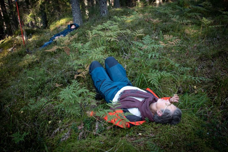 Personer ligger i mossan