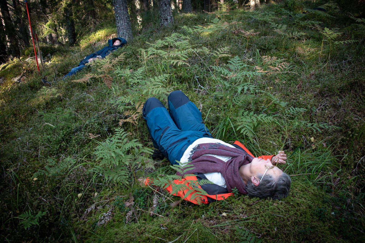 Personer ligger i mossan