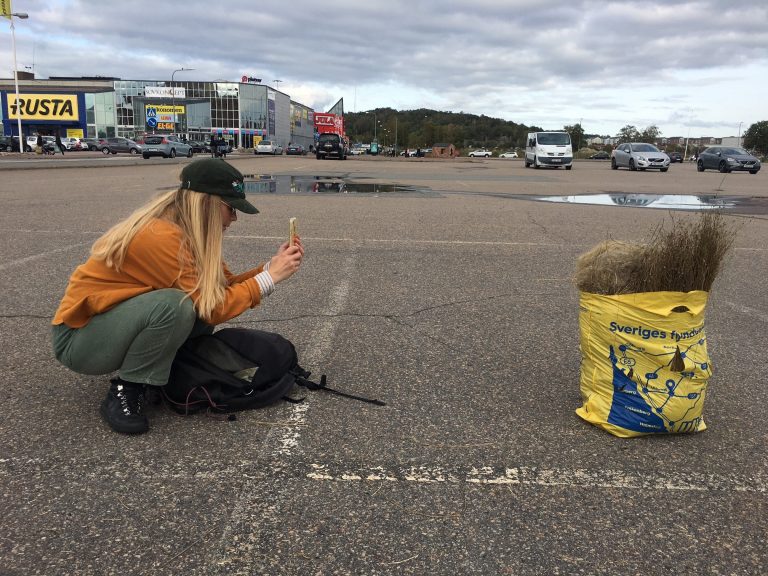 Kvinna hukar på en parkeringsplats och fotar en kassa med lin