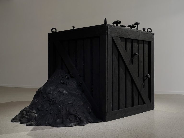 En svart trälåda med svarta svampar i olika format på ovansidan av lådan, På ena sidan av lådan väller det ut något svart och lavaliknande.