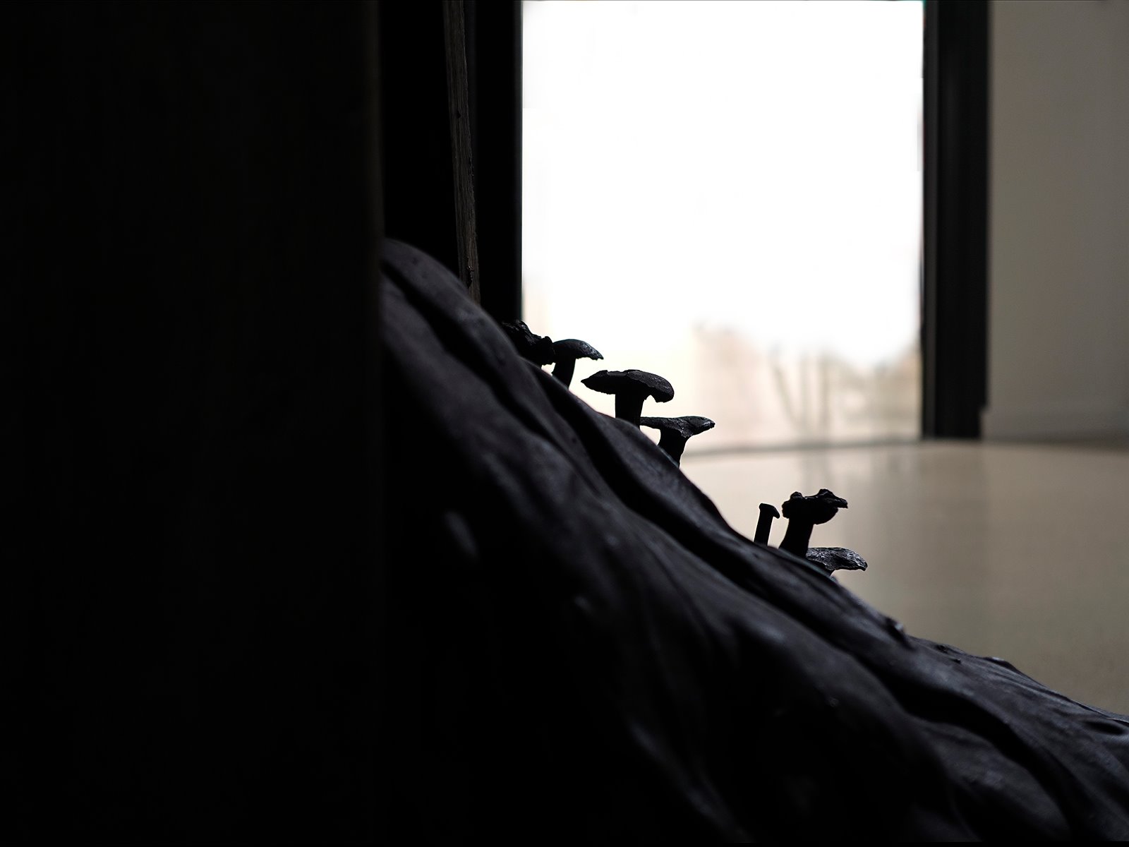 Detaljbild med svarta svampar på svart skulptur.