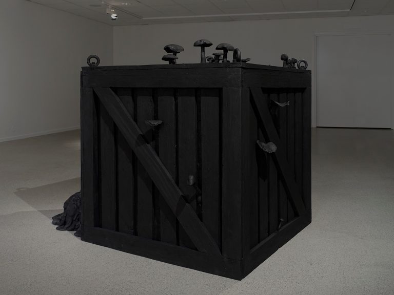 Stor svart trälåda med svarta svampar på ovansidan och svampar som tränger sig ut genom springor på lådans sidor.