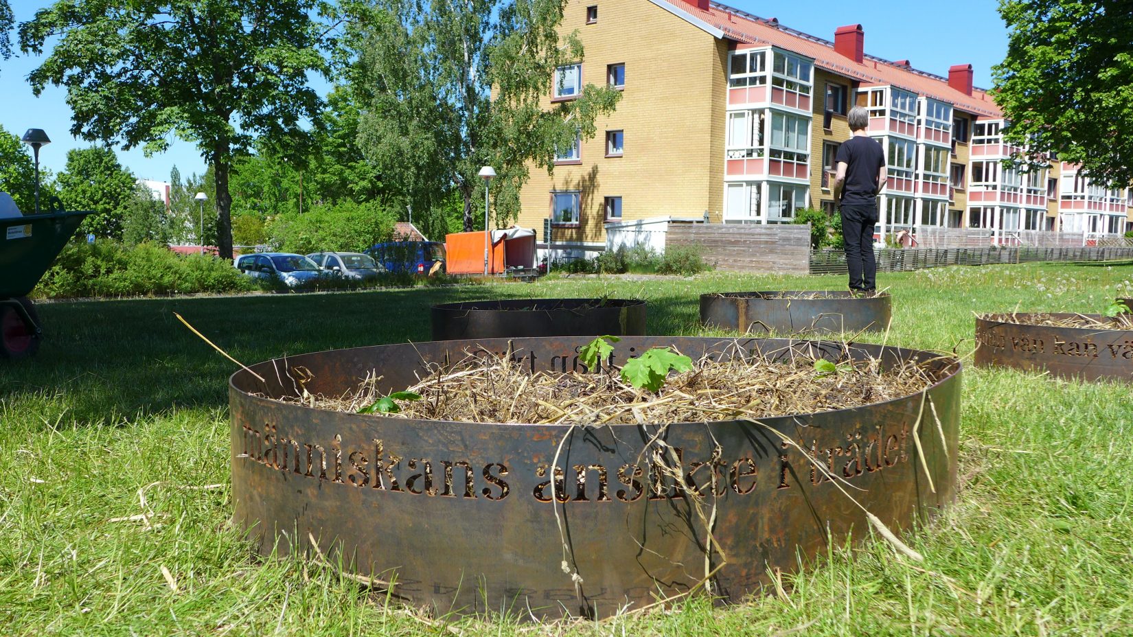Rund form i gjutjärn fylld av jord på en gräsmatta. Trevåningshus i bakgrunden.