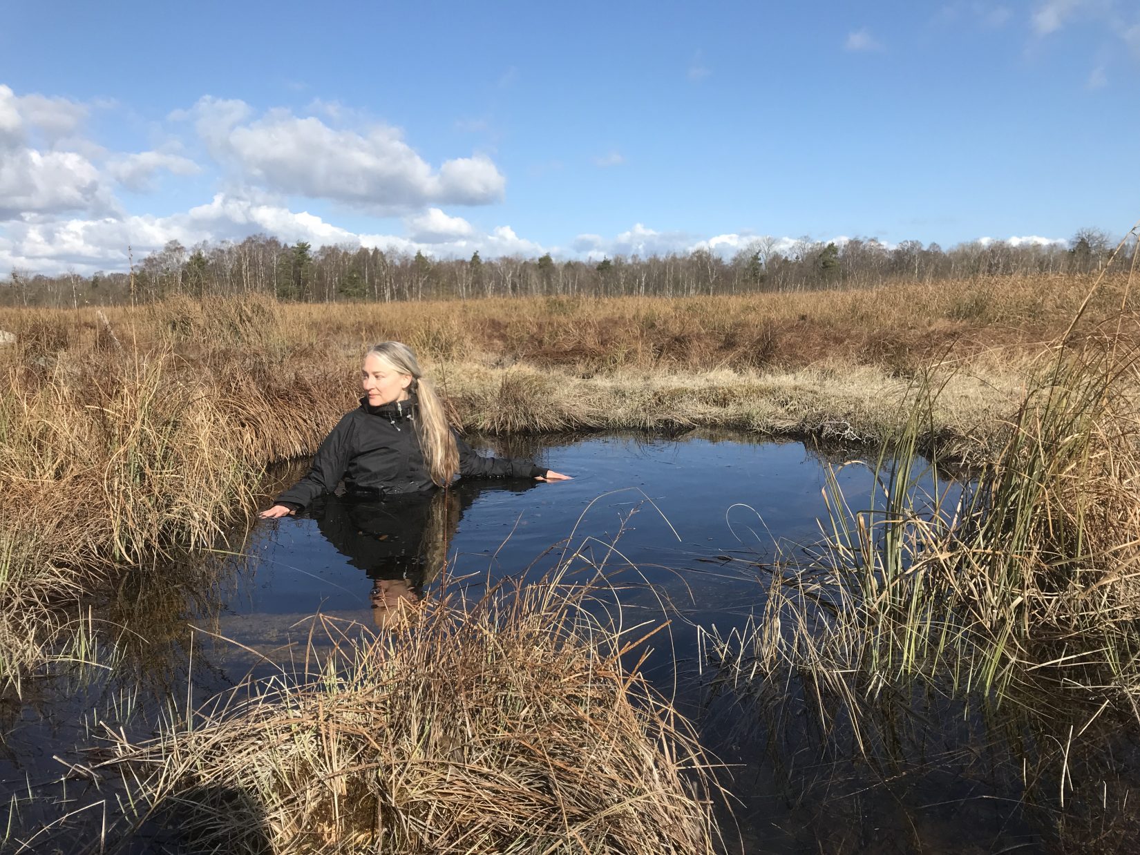 Våtmark med vass. En person med kläder är till hälften nersjunken i vattnet.