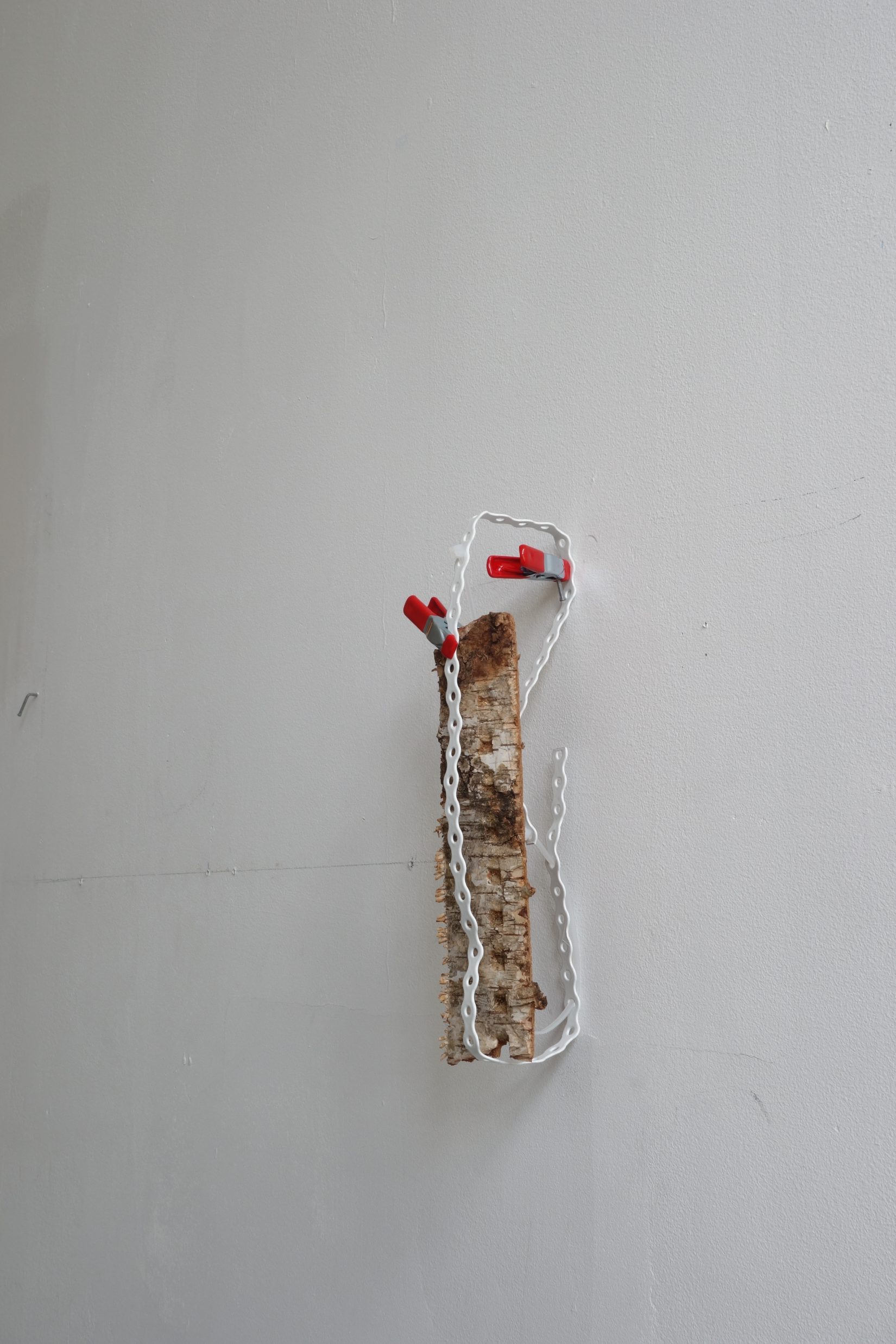 Väggskulptur av björk, och röda klämmor.