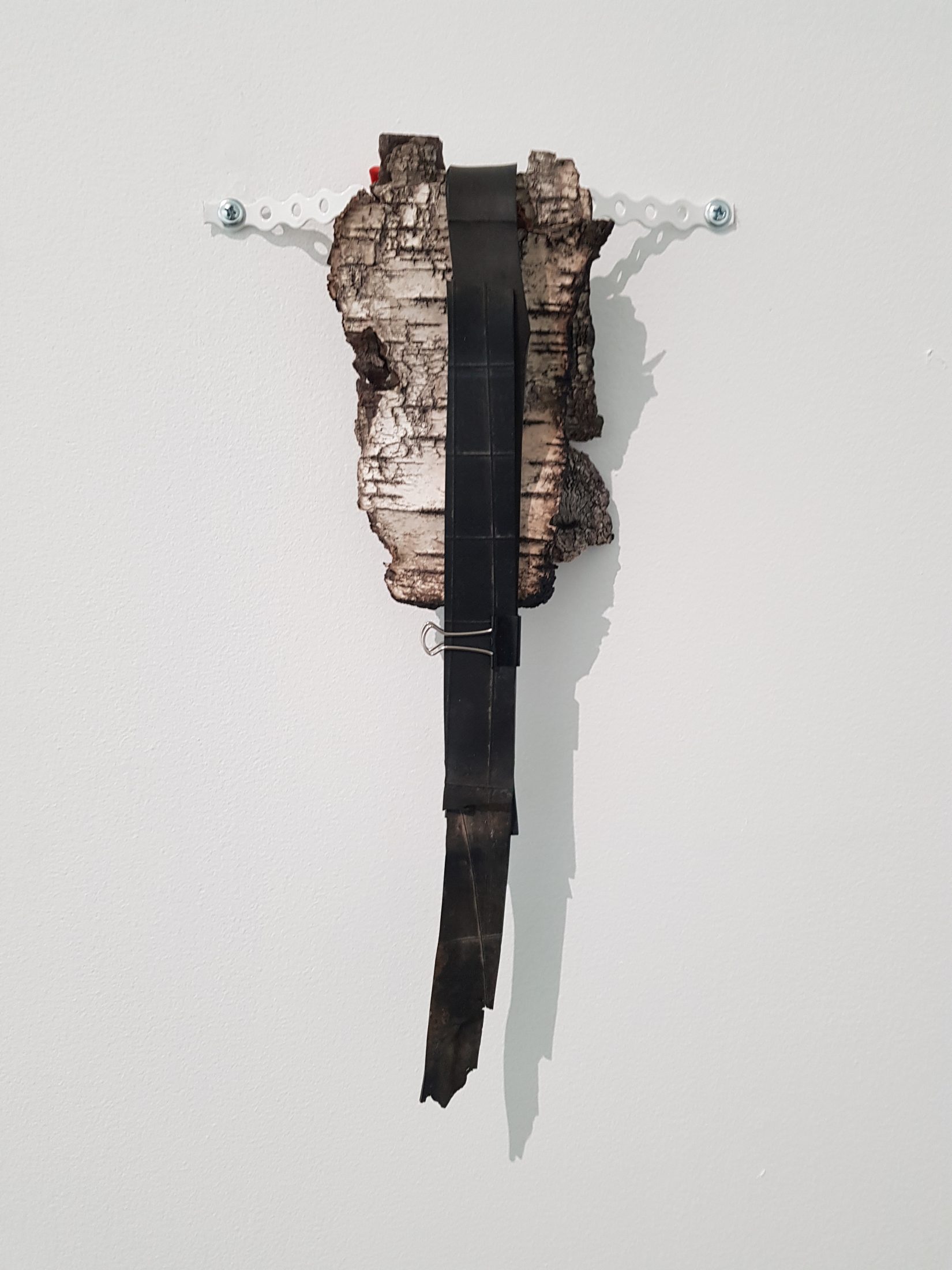 Skulptur av björknäver med klämma på vägg