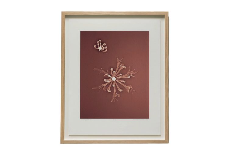 En inramad bild av en blomma