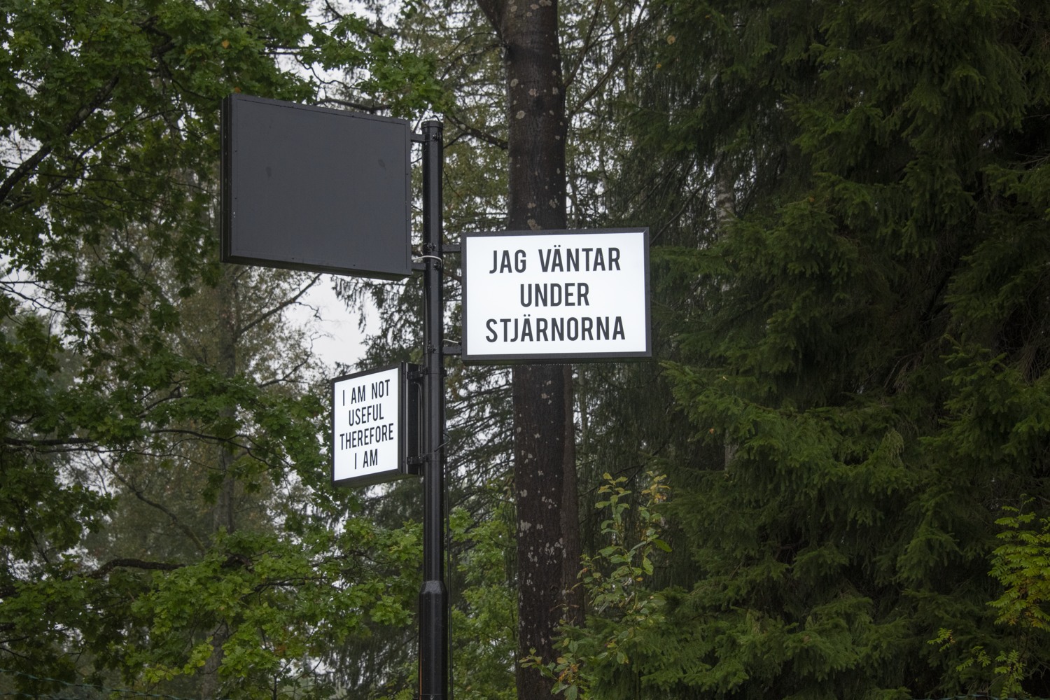 En svart stolpe med tre skyltar står framför murriga och gröna granar. På skyltarna står det, jag väntar under stjärnorna och I am not useful therefore I am.