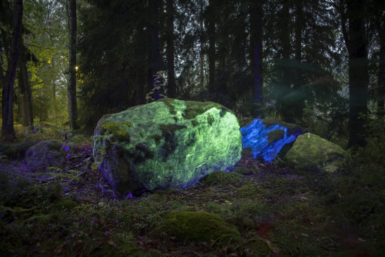 Bild på en mörk skog och en floroserande sten.