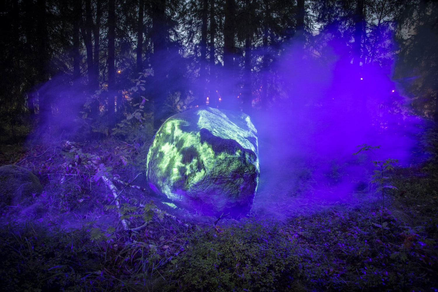 Bild på en mörk skog och en floroserande sten.