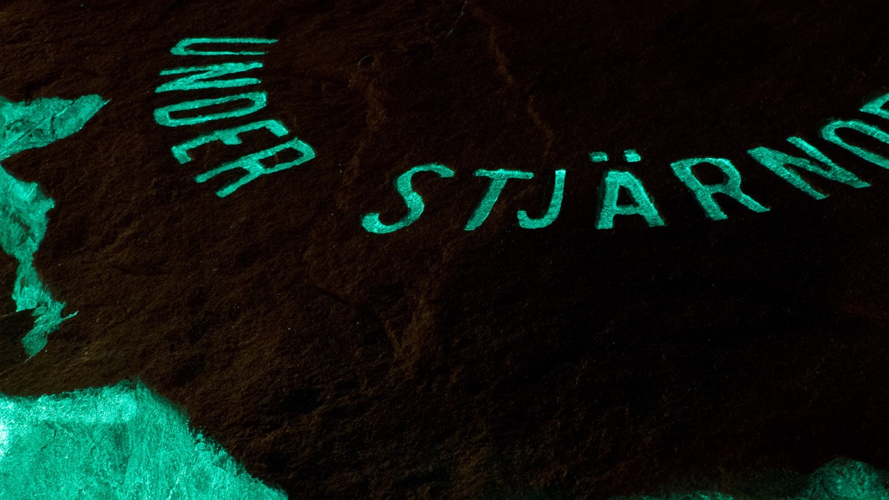 Jag väntar under stjärnorna. Ulrika Sparre bild 4