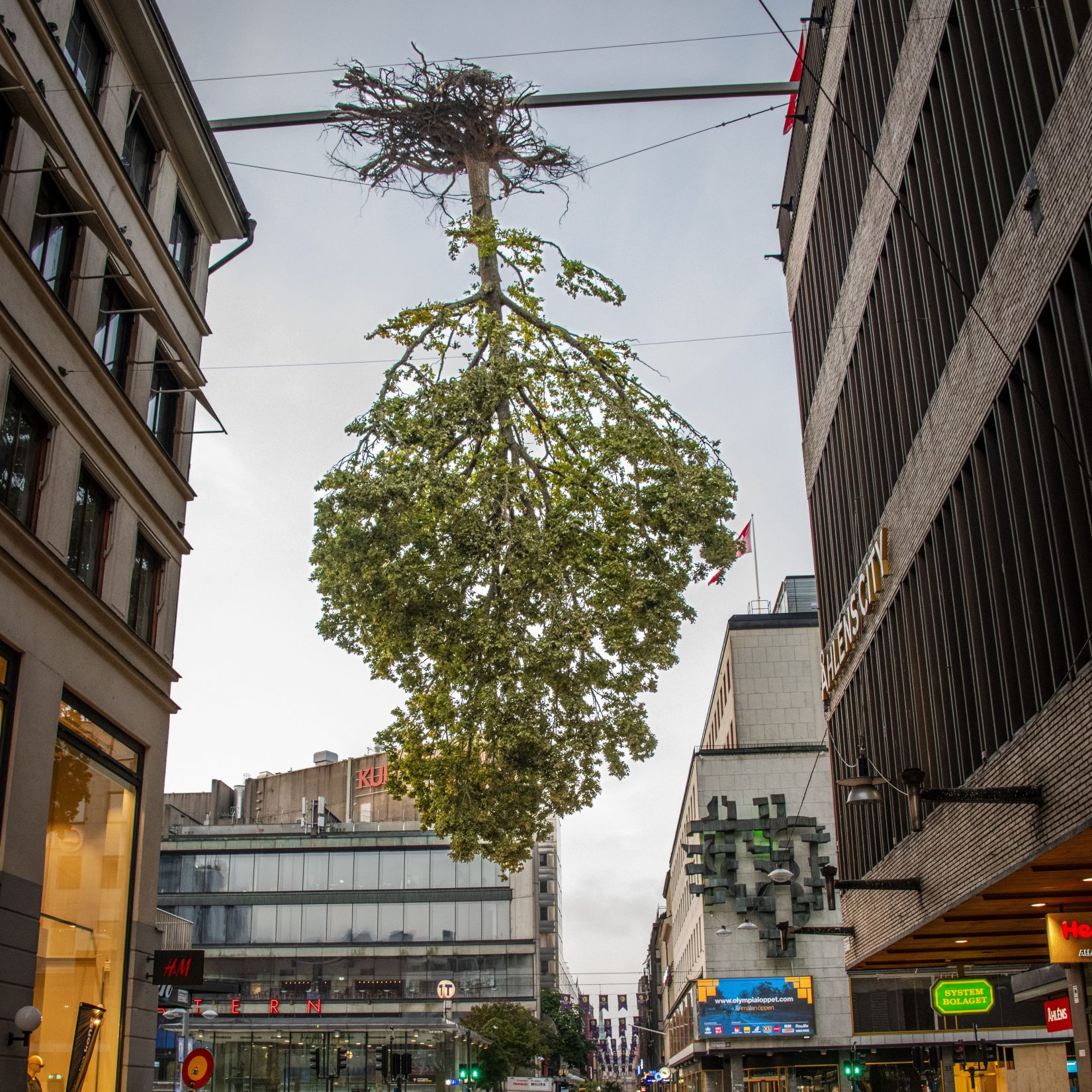 En uppochnedvänd ek hänger mellan hus.