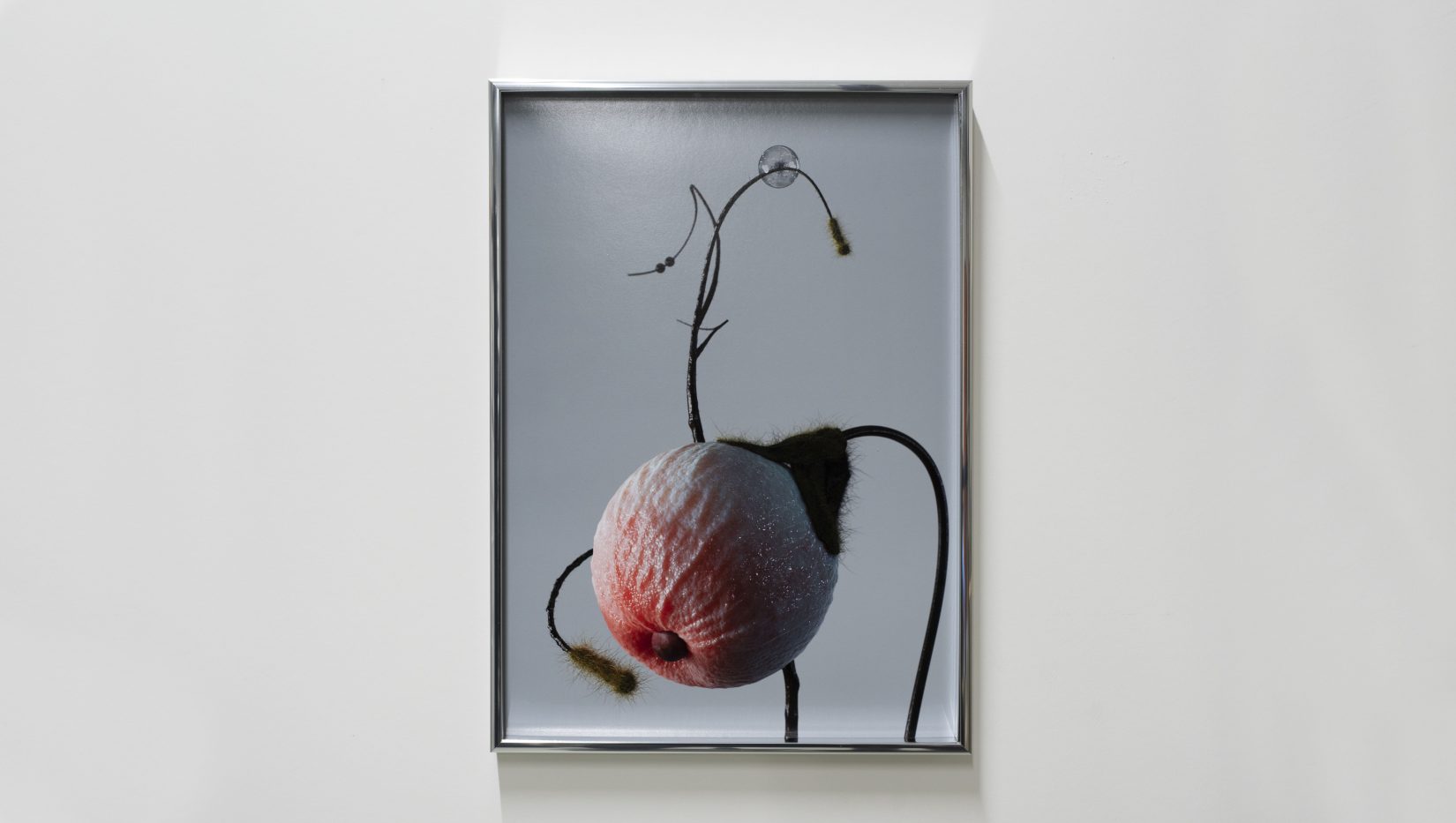 Olika material i form av en blomma