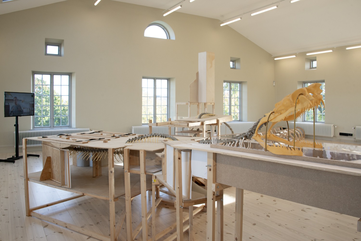 stort utställningsrum med ormskelett
