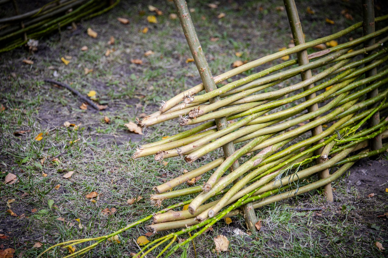 En hög med pinnar som ligger på ett grästäckt fält.