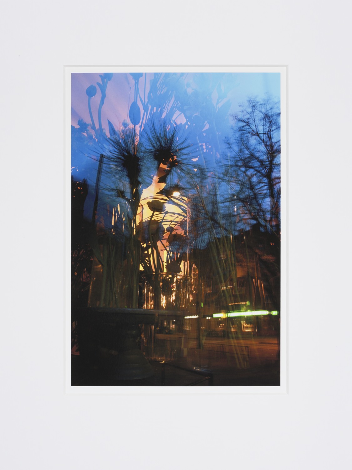 En bild av ett träd mitt i natten.