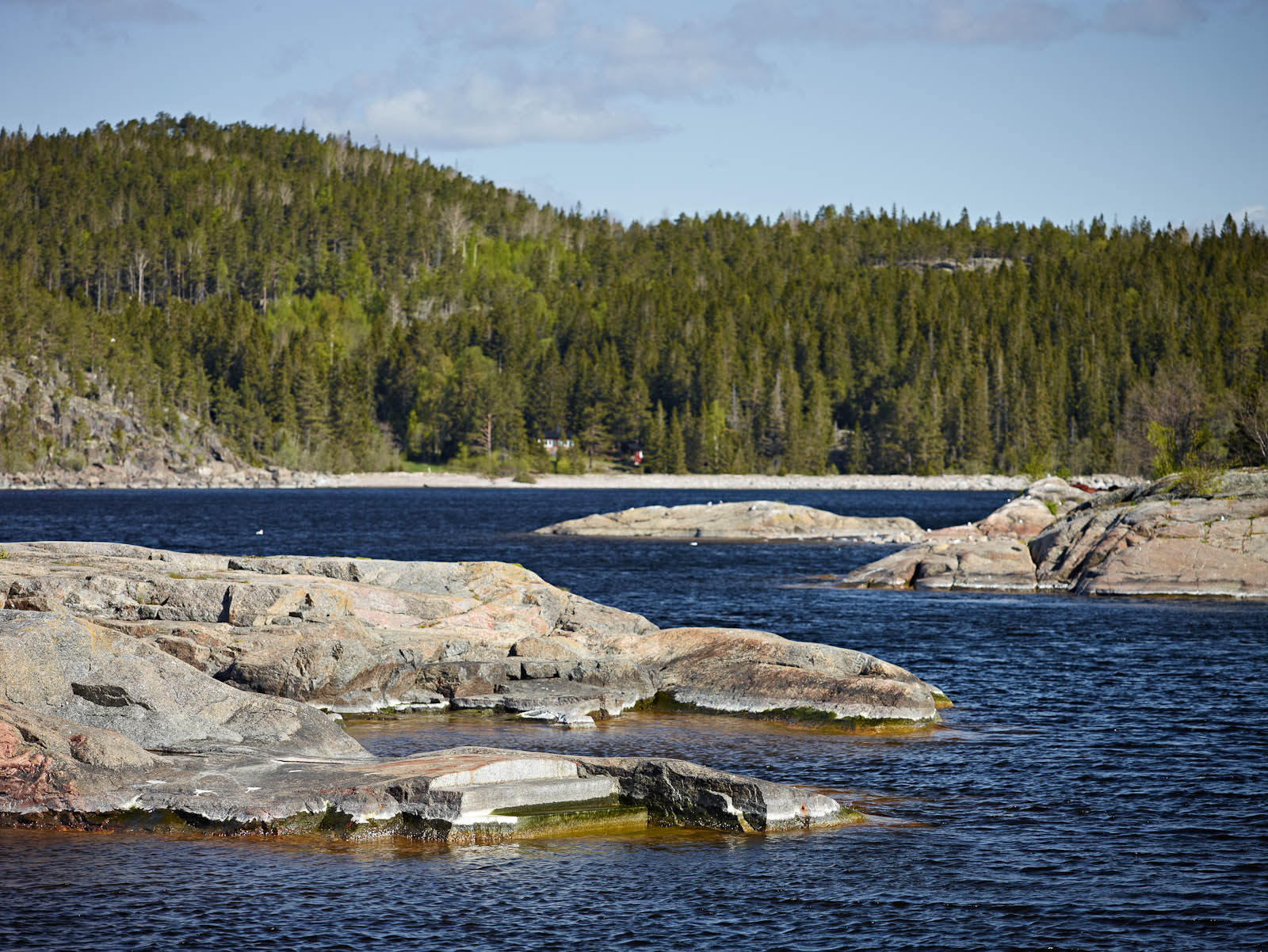Klippstrand med två trappsteg och strömmande vatten. I bakgrunden gröna tallar. Katarina Löfström, Passage