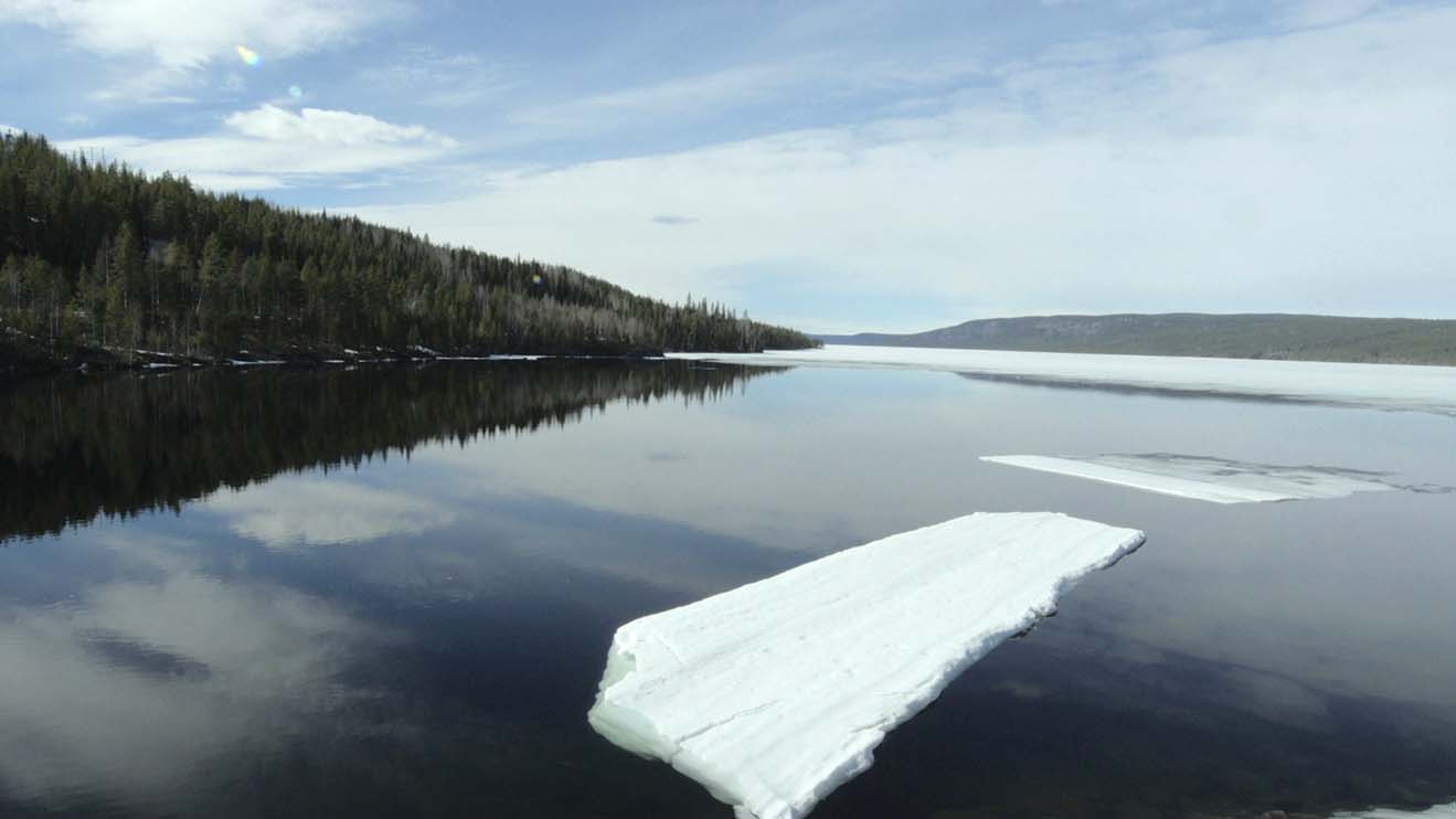 Stillbild ur verket. Isflak flyter på ett mörkt vatten. I bakgrunden skog.