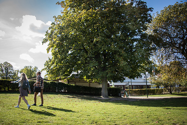 Två personer går över en gräsmatta framför en lummig kastanj. I bakgrunden häckar och hus. James Webb, Theres no place called home