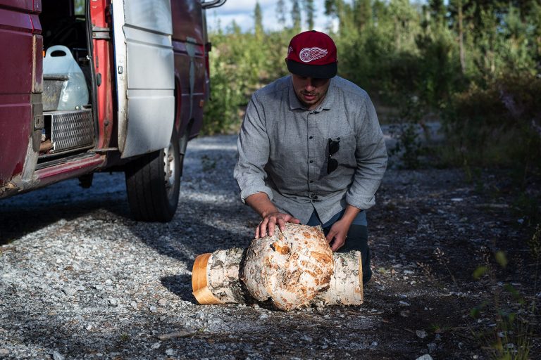Man i keps undersöker en bit björkträ.