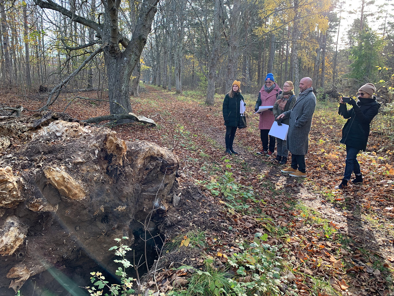 En grupp personer tittar på en fallen trädrot ute i naturen.