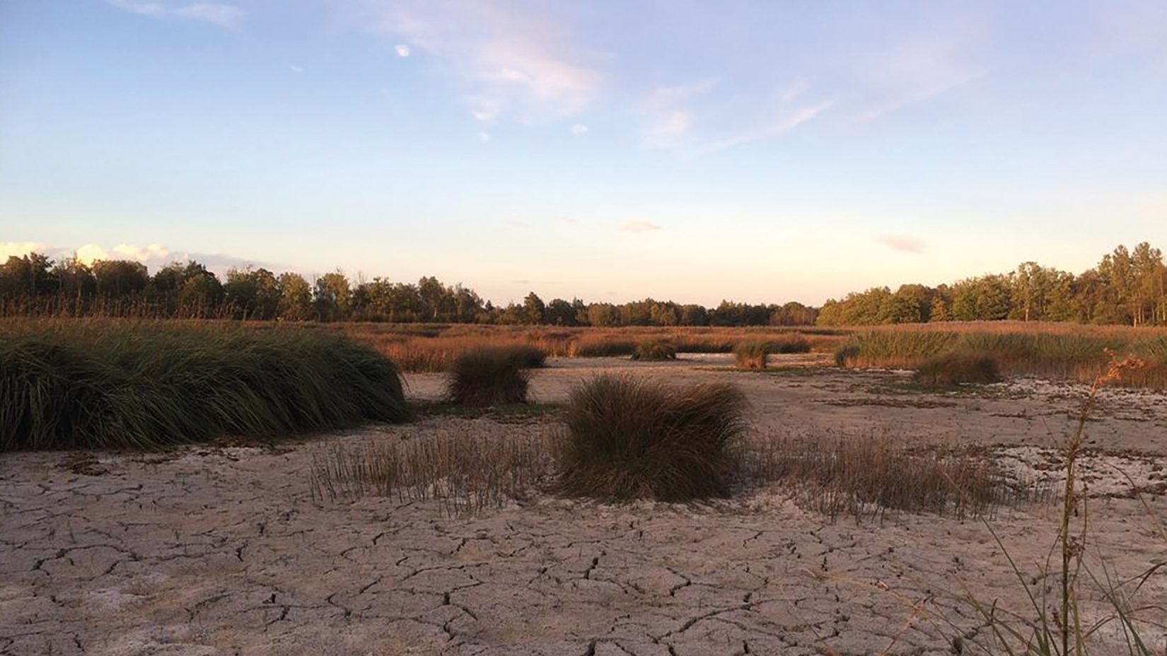 Torr mark på Öland