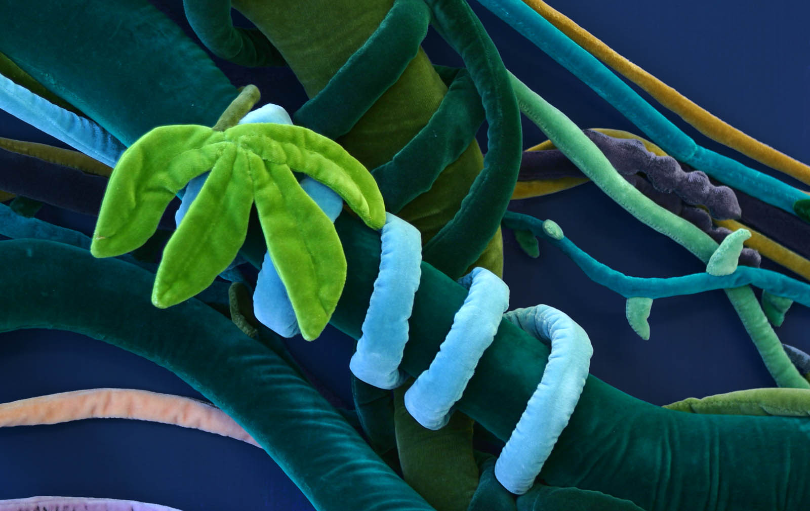 Sammetsdjungel av Agneta Flock