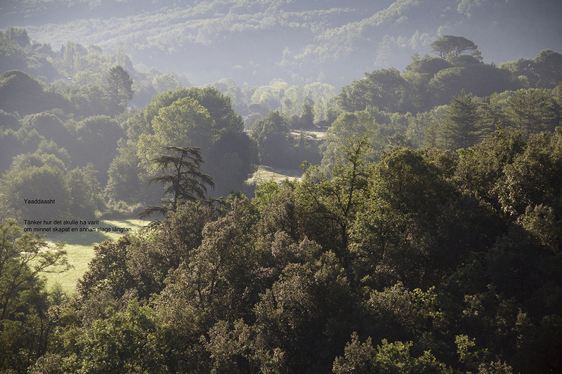 Shiva Anoushirvani, Yaaddaasht - Där minnets landskap tar vid Nr. 1