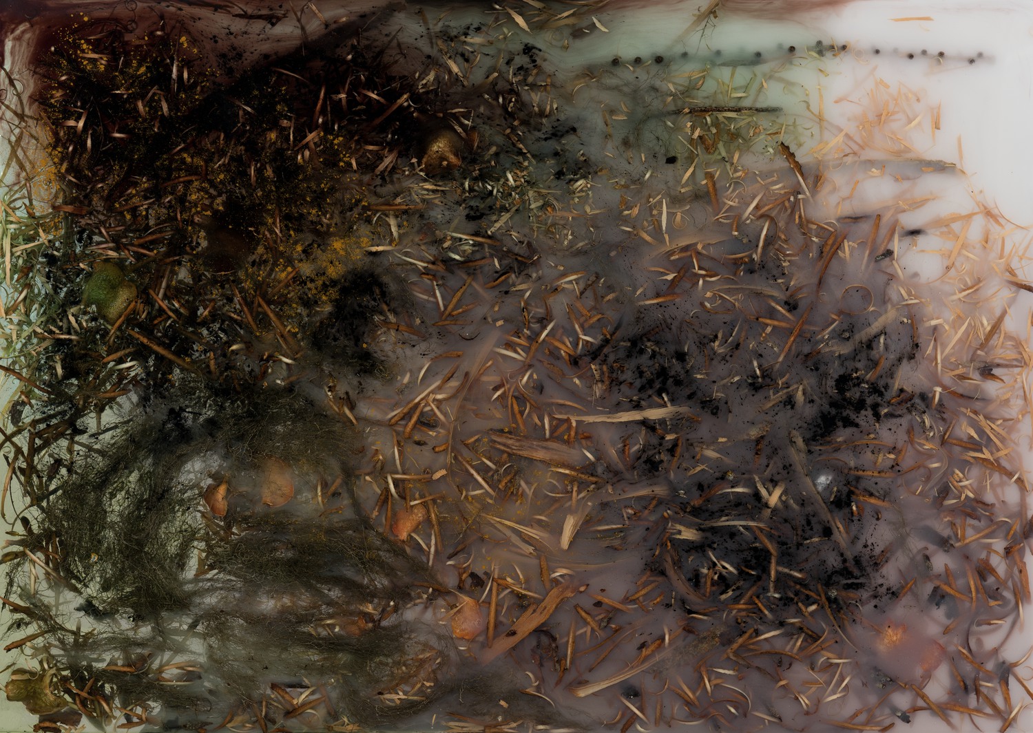 Spånskiva av Kristina Lindberg