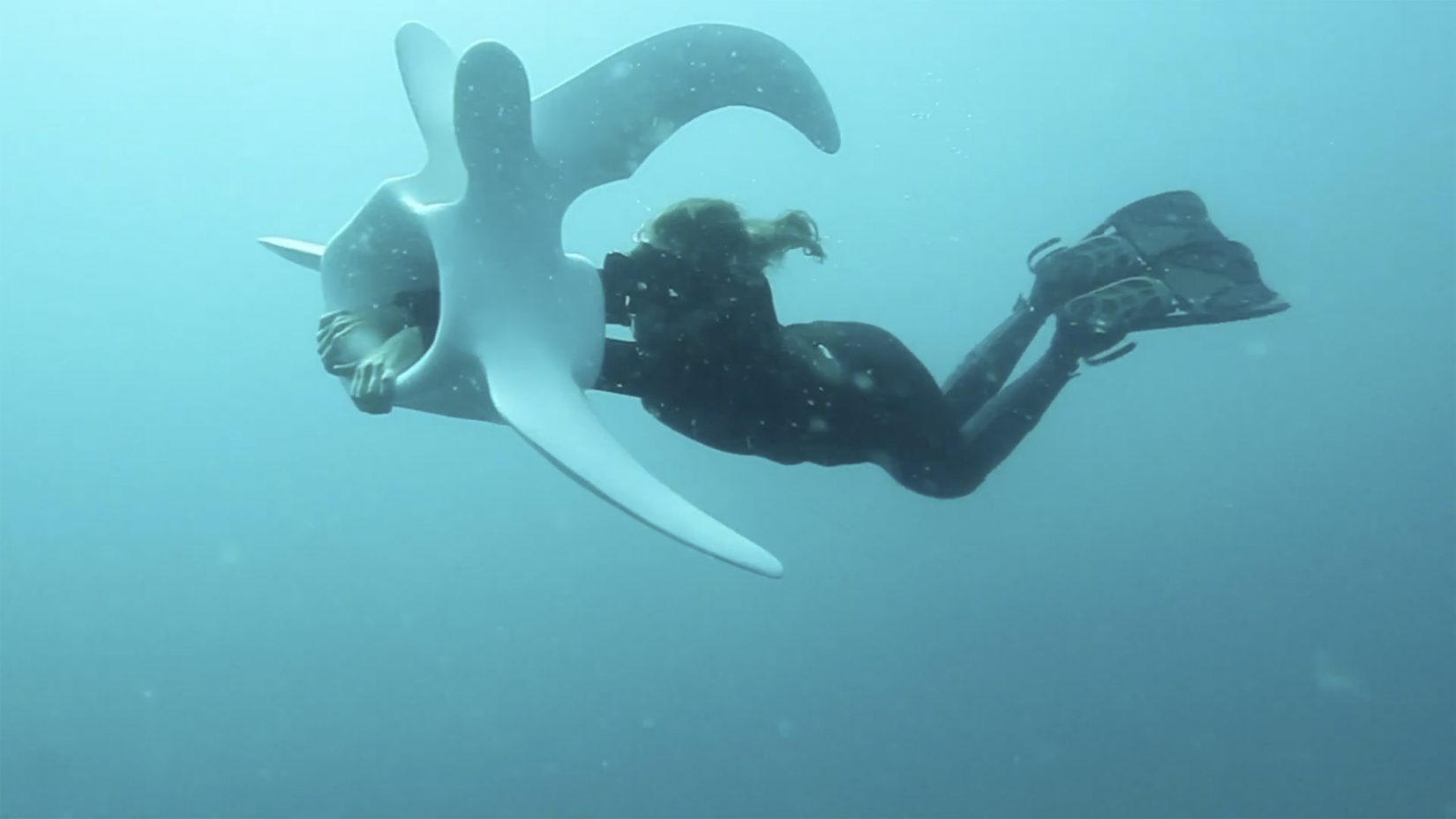 En person simmar under vattenytan med ett stort ben.