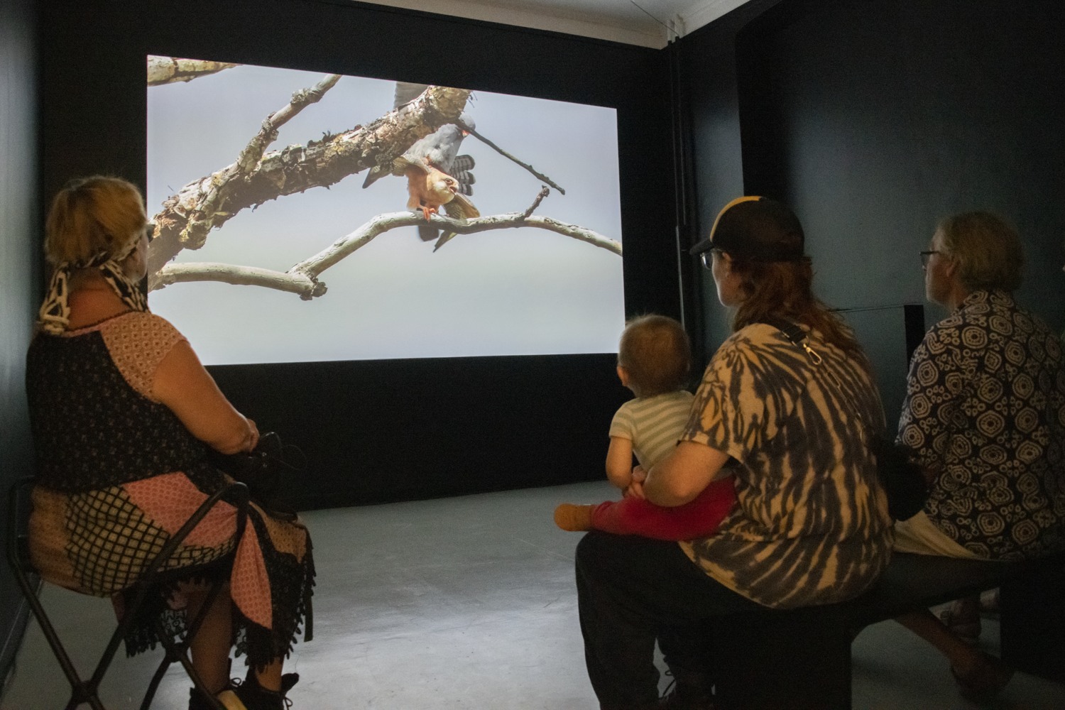 Människor som tittar på en film i ett mörkt rum