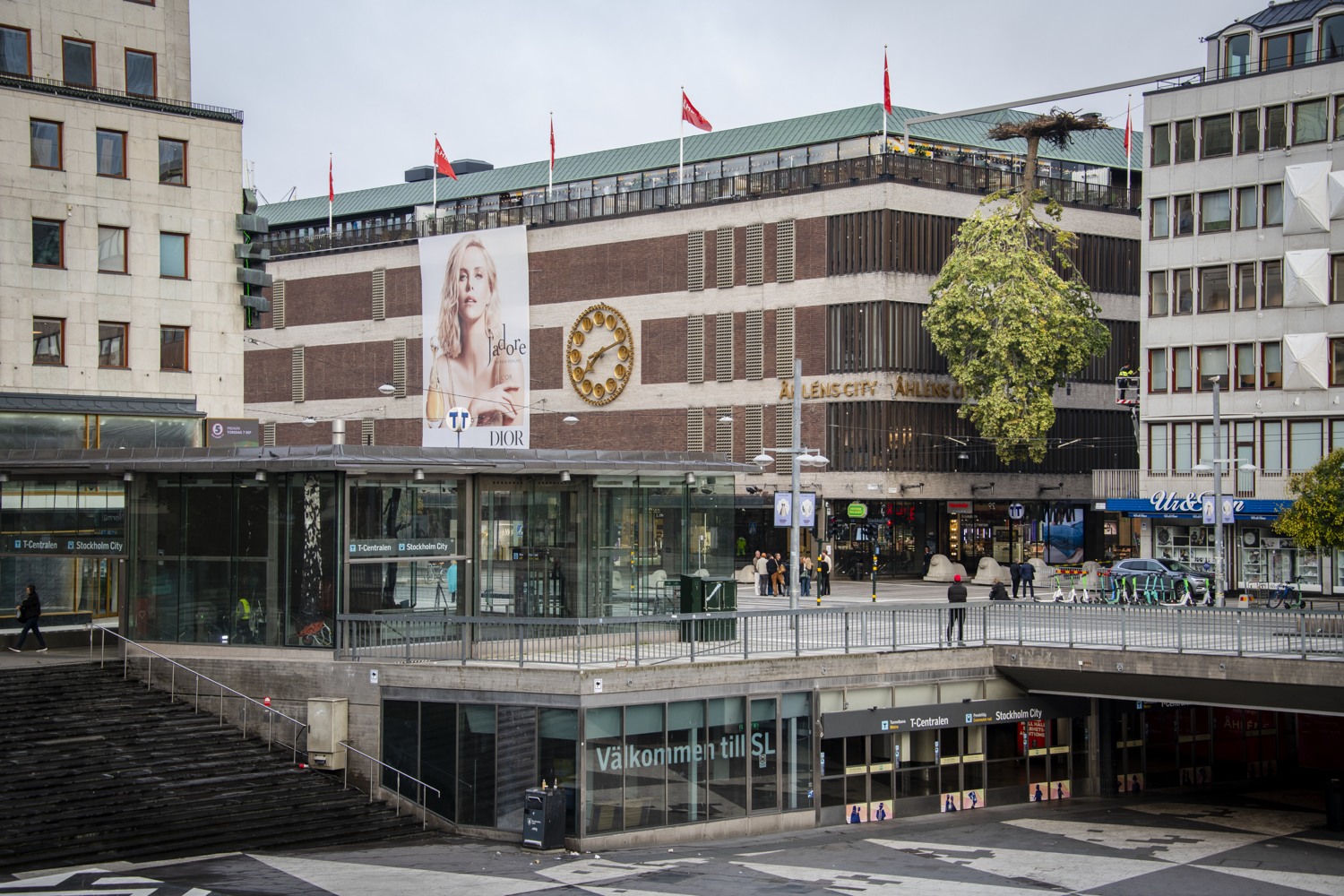 Vy från Sergels torg på en uppochnedvänd ek.