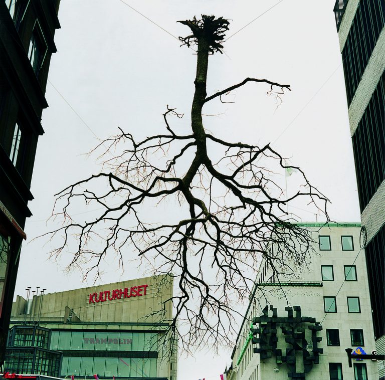 Ett upp och ner vänt träd