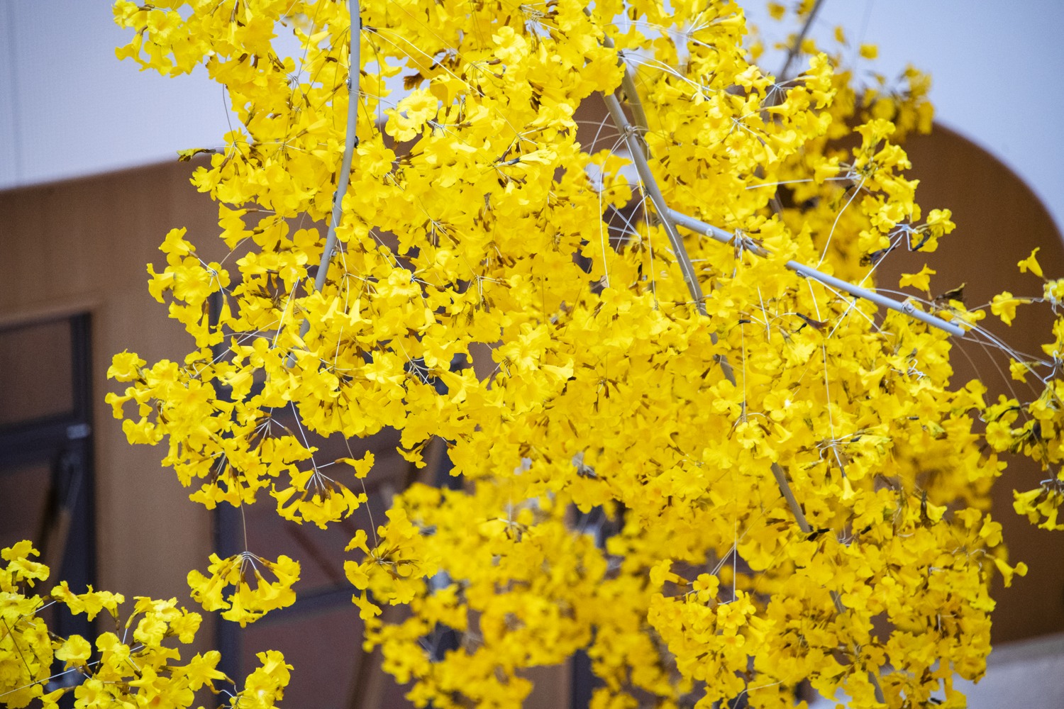 gula blommor som svävar i luften