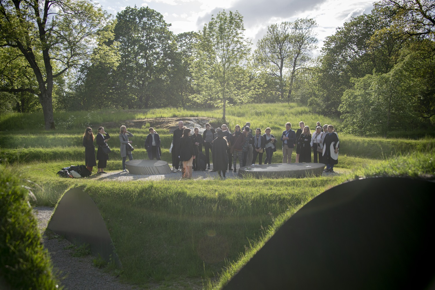 En gruppmänniskor står i grönska