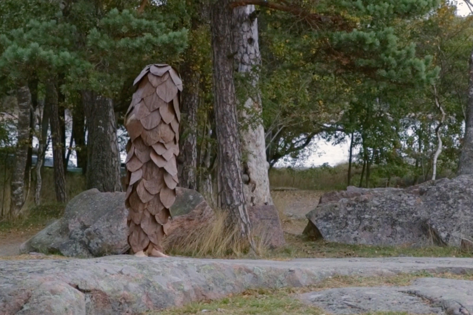 Stor kotte i ett naturlandskap