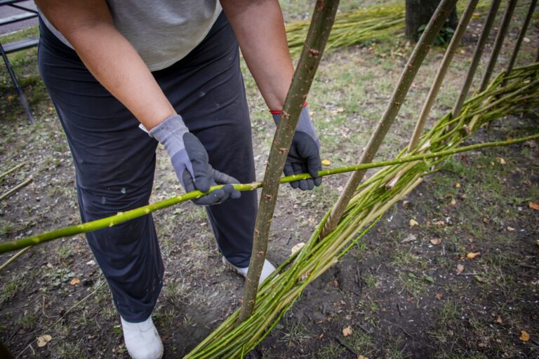 En kvinna beskär ett träd med ett par handskar.