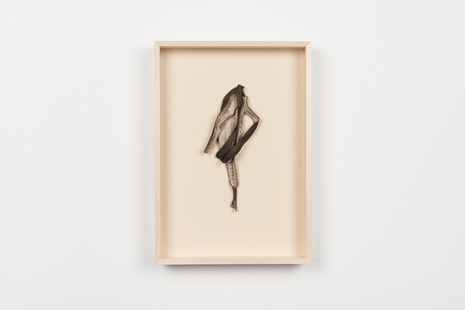 En bild av en fågel i en ram på en vägg.