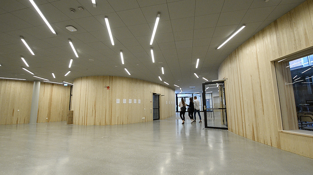A group of students walking through a corridor. The walls are made of a wooden panel, and in the ceiling there are fluorescent lamps,