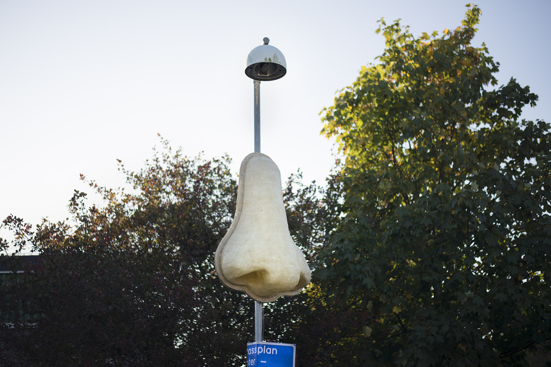 A nose of fiberglass mounted on a pole.