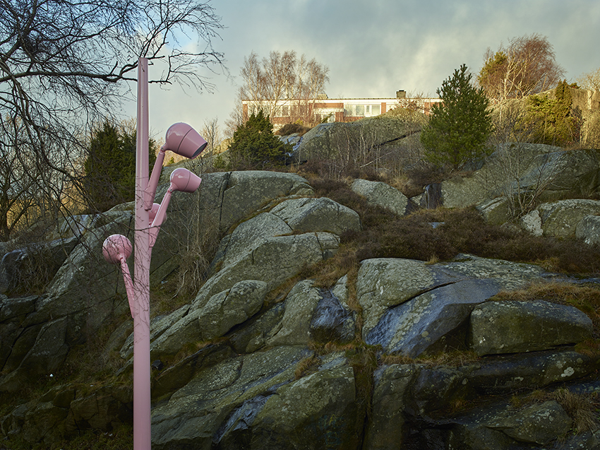 A pink lantern in front of a rock.